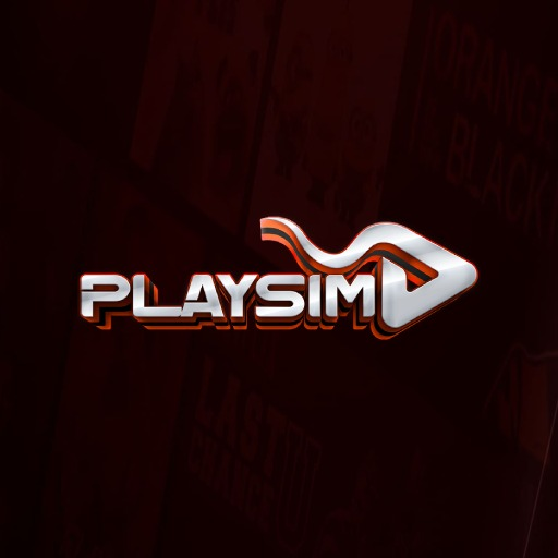 PlaySim